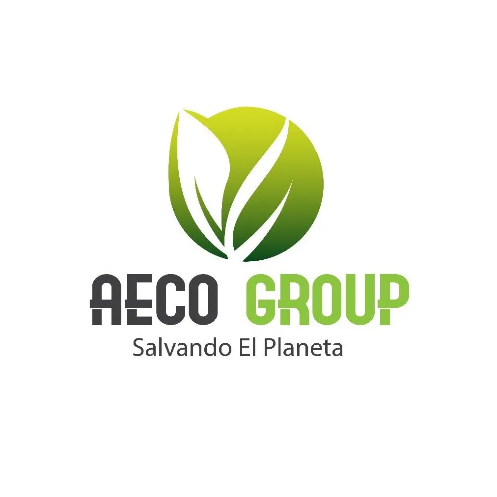 Logo de AECO Group